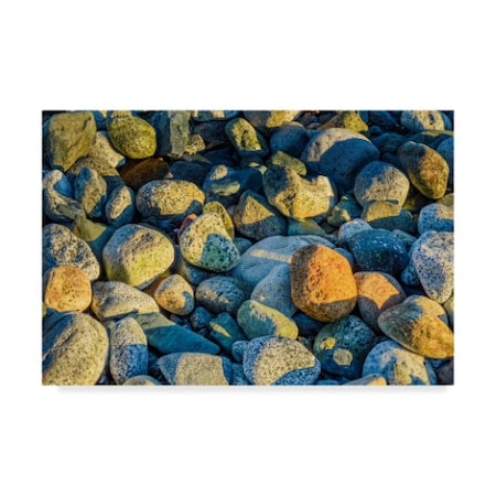 Brenda Petrella Photography Llc 'Shoreline Stones' Canvas Art,22x32